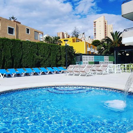 Primavera Loix Benidorm Ngoại thất bức ảnh